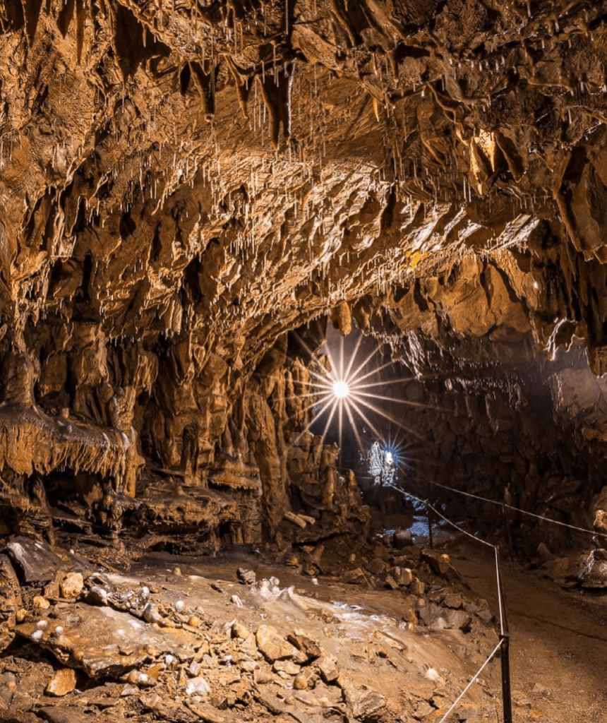 Lurgrotte Caves - Explore Nature's Secret Wonderland