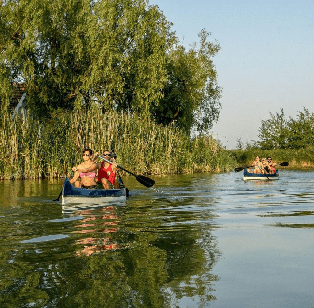 Neusiedler See A Haven of Breathtaking Wetland Beauty